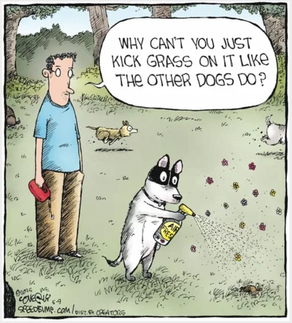 7-41 20 Funny Comics by Dave Coverly That Are Clever, Witty, and Relatable