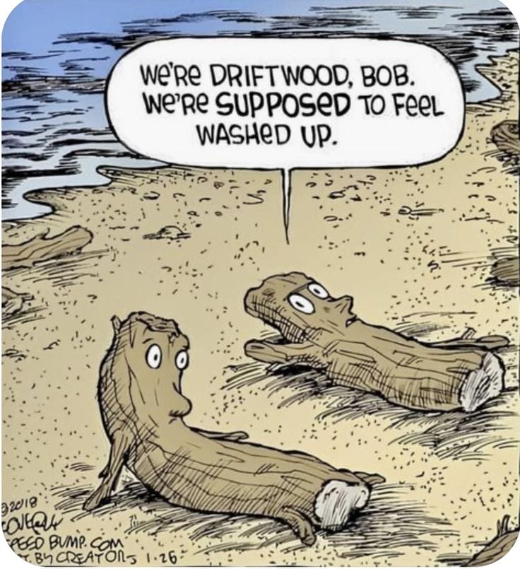 7-63 20 Relatable life cartoons by Dave Coverly That Nail Everyday Absurdity