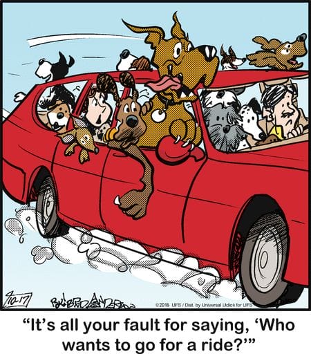 7-86 20 Wholesome and Hilarious Dog Comics by Brad Anderson You Can’t Miss