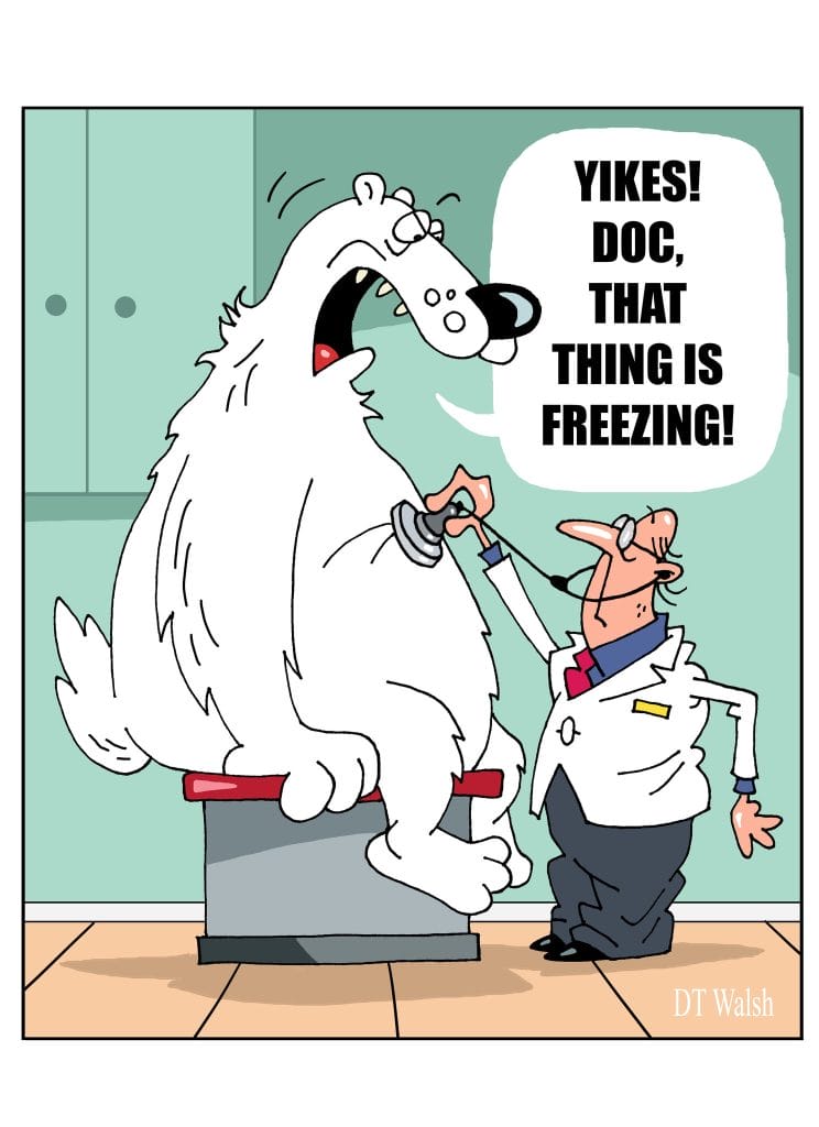 7-87-744x1024 20 Twisted Dark Humor Comics by Dan Walsh That’ll Leave You Laughing Uncomfortably