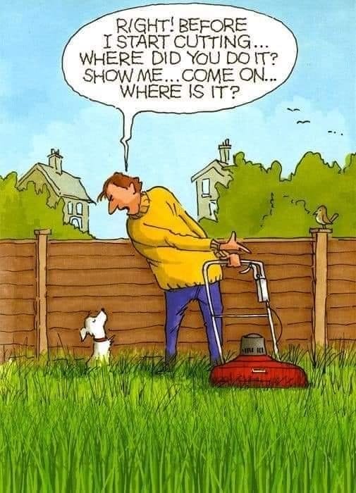8-11 20 Hilarious Old Couple Cartoons That Perfectly Capture Aging Humor