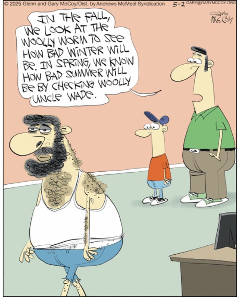 8-24 Top 10 Absurd Comics That Make Everyday Life Feel Ridiculously Funny