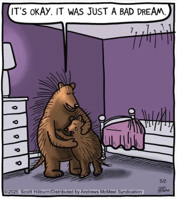 8-38 Top 10 Funniest Single Panel Humor Comics from Argyle Sweater You Can’t Unsee