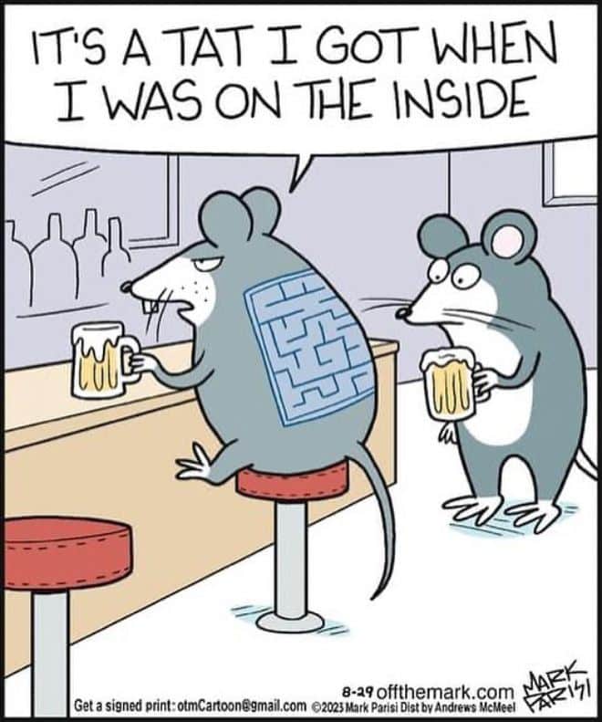 8-58 20 Hilarious Off the Mark Comics for Your Daily Dose of Humor