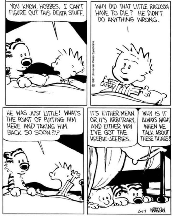 8-6 Top 10 Unforgettable Calvin and Hobbes Comics That Still Make Us Laugh