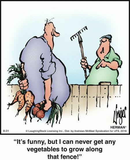 8-84 20 Hilarious Old School Humor Cartoons by Jim Unger That Still Hit Today