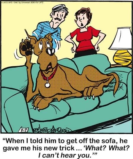 8-87 20 Wholesome and Hilarious Dog Comics by Brad Anderson You Can’t Miss