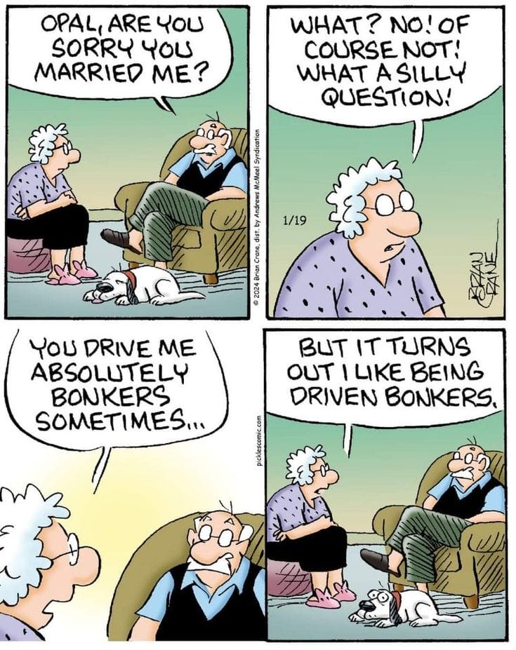 9-35 10 Hilarious Earl and Opal Pickles Cartoons That Perfectly Capture Aging and Marriage