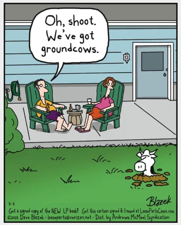 9-44 20 Hilarious Loose Parts Comics That Nail Everyday Humor