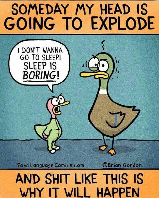 9-58 20 Witty Comics by Fowl Language That Nail Parenting Truths