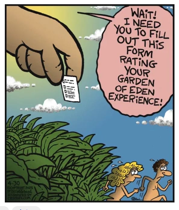 9-6 10 Witty Free Range Comics That Prove Bill Whitehead Is a Master of Humor