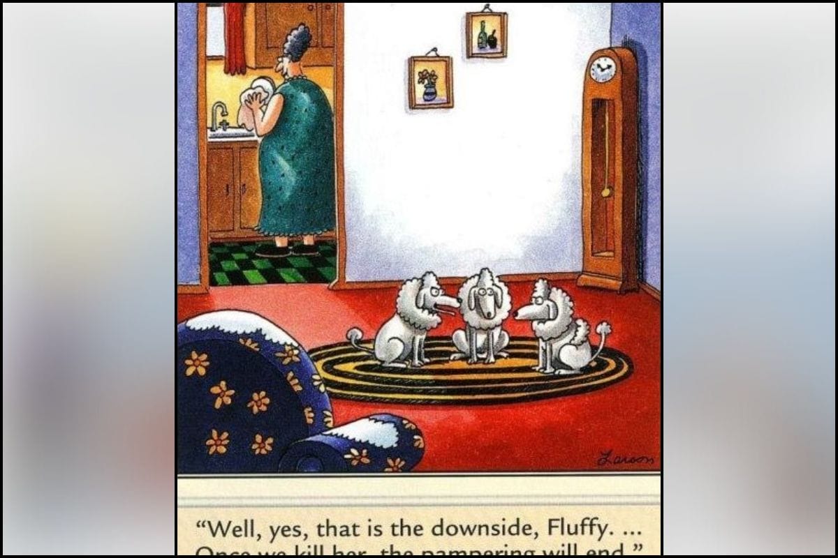 Classic Dark Humor
