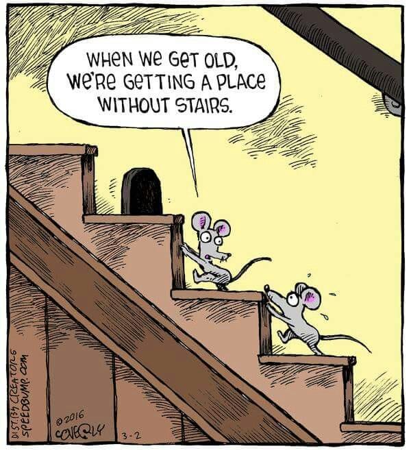 Latest Comics
