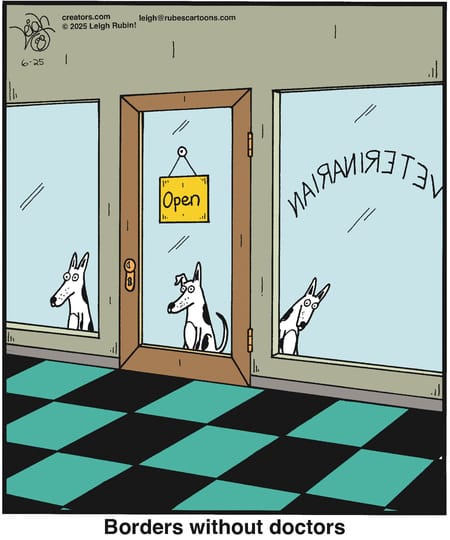 1-3 20 New Rubes Comics That Take Absurdity to the Next Level