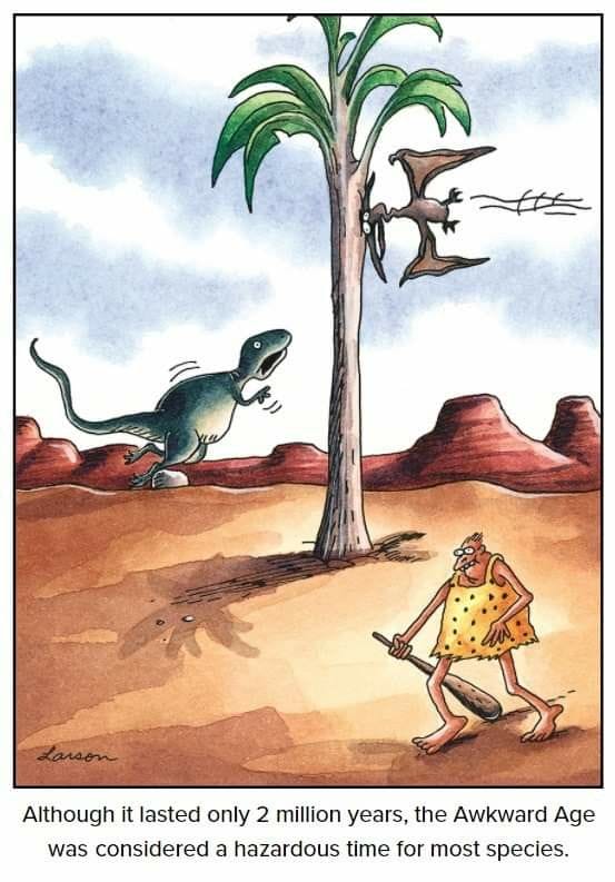 1-33 20 Hilarious New Far Side Humor Comics Reviewed with Witty Insight