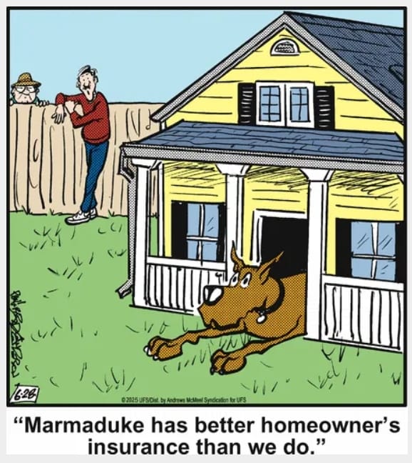 1-43 20 Hilarious Funny Dog Cartoons That Prove Marmaduke Is Top Dog