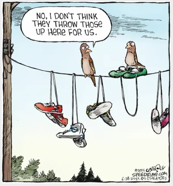 1-45 20 Best of Speed Bump Comics Packed with Dry Wit and Humor