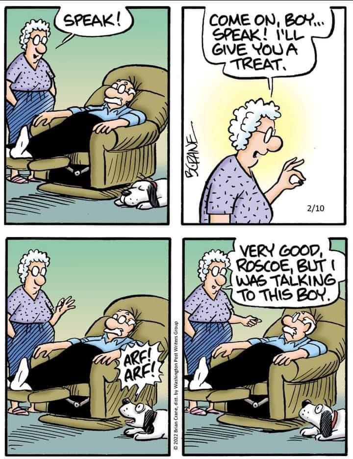 10-35 20 Family Life Comic Strips That Expose the Humor in Daily Parenting