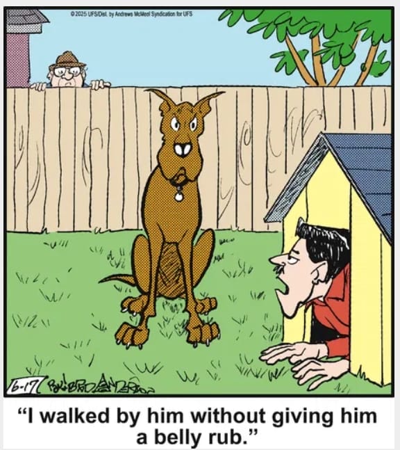 10-43 20 Hilarious Funny Dog Cartoons That Prove Marmaduke Is Top Dog
