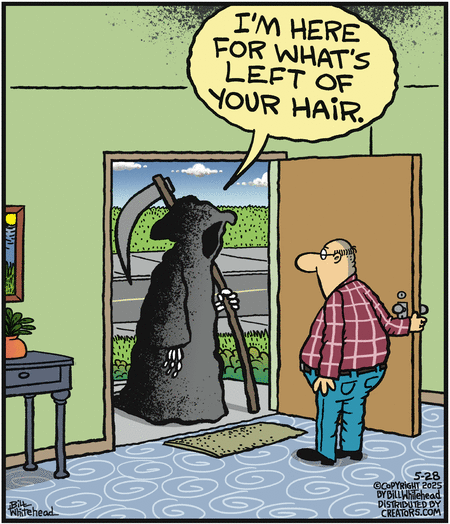 10 20 Hilarious Comics Packed with Witty Cartoon Humor You’ll Love
