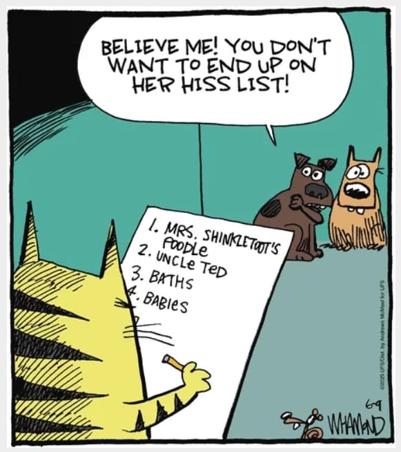 11-14 20 Epic Today Witty Cartoons That Perfectly Capture Everyday Life