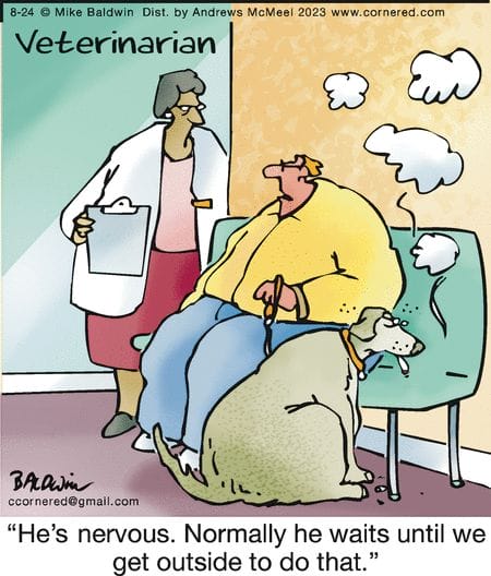 11-22 20 Relatable Cartoons by Mike Baldwin with a Dose of Witty Daily Humor
