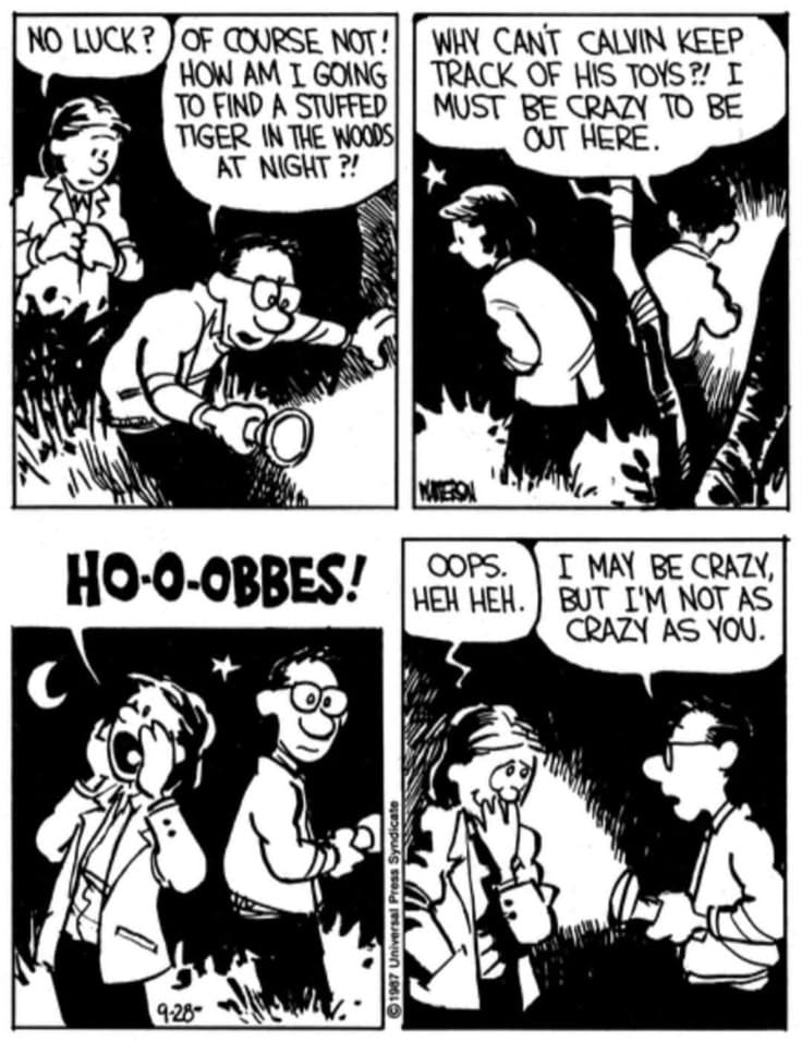 11-27 20 Best New Comics Featuring Calvin and Hobbes at Their Funniest