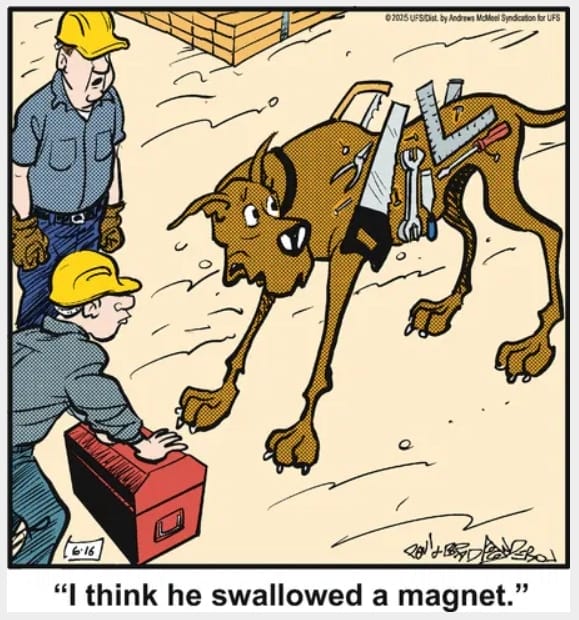 11-43 20 Hilarious Funny Dog Cartoons That Prove Marmaduke Is Top Dog
