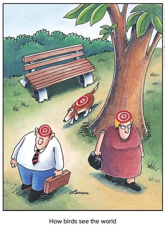12-17 20 Best of The Far Side Cartoons That Prove Gary Larson Is a Legend