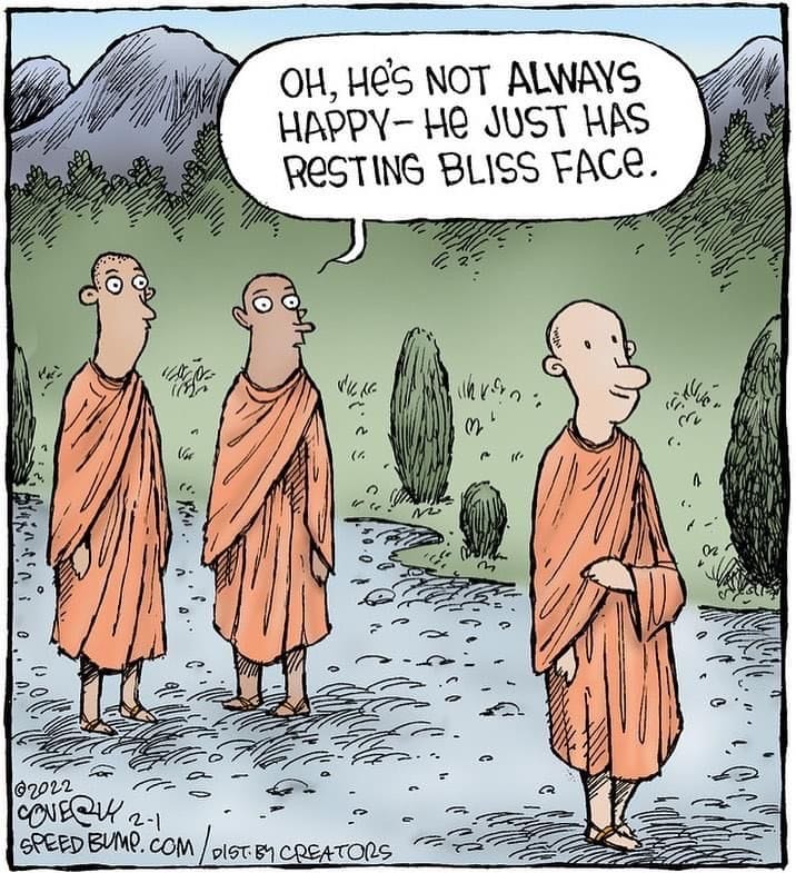 12-45 20 Best of Speed Bump Comics Packed with Dry Wit and Humor