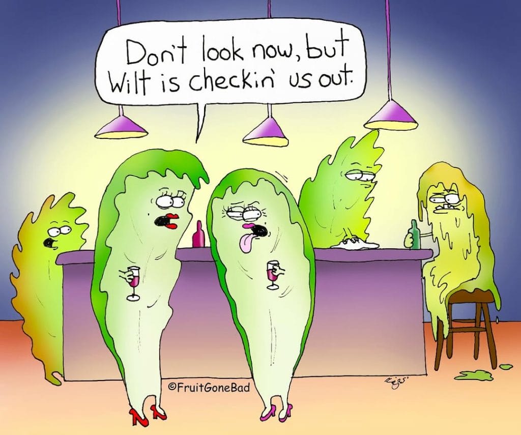 12-8-1024x855 20 Hilarious Adult Comics by Fruit Gone Bad That Are Too Real