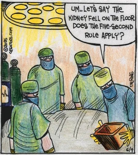 12 20 Funniest Viral Humor Comics You’ll See This Week