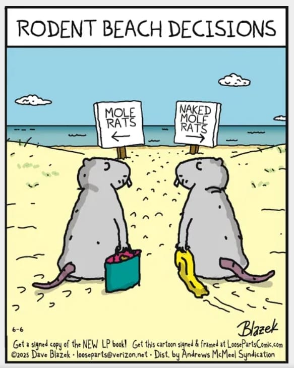 13-28 20 New Witty Comics by Dave Blazek That’ll Make Your Day Funnier