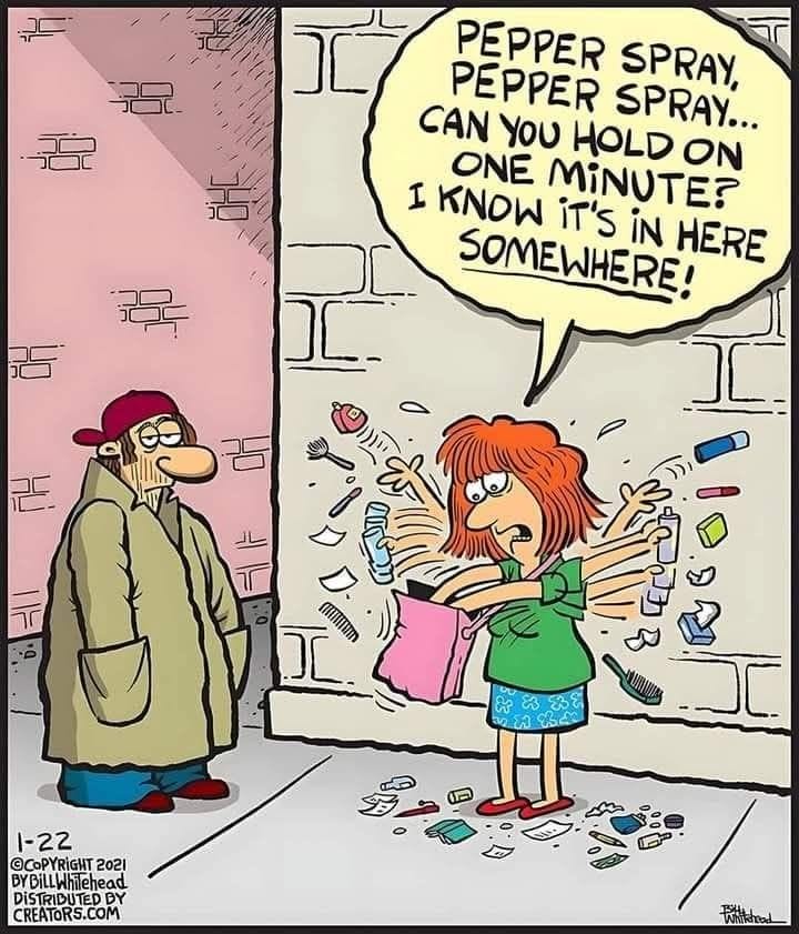 13-33 The 20 Funniest New Viral Comics Breaking the Internet with Laughter