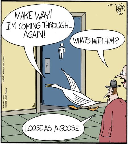 13-38 20 New Rubes Comics That Take Absurdity to the Next Level