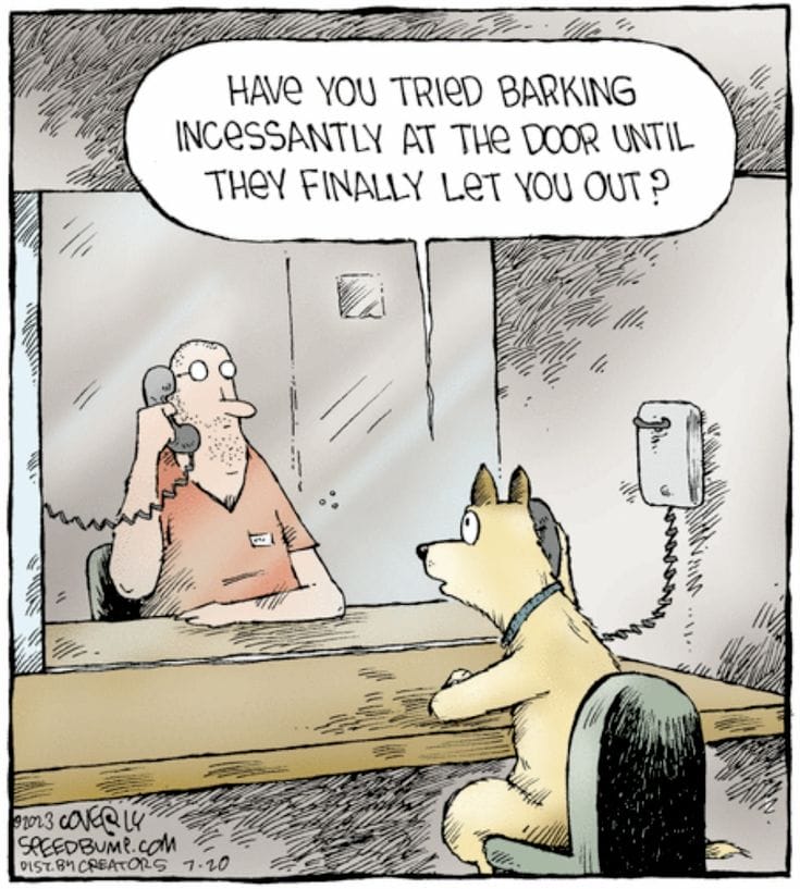 13-5 The 20 Funniest Moments from the Latest Comics by Dave Coverly
