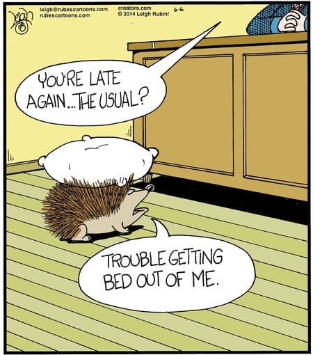13 20 New Funny Cartoons by Leigh Rubin That’ll Add Some Cheer to Your Day