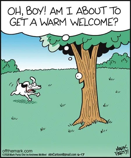 13 20 Funny Cartoons Today by Mark Parisi You’ll Want to Share with Everyone