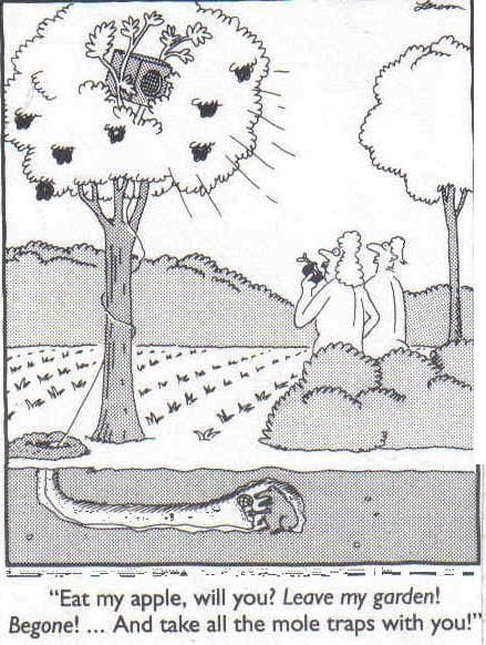 14-19 20 Best of The Far Side Cartoons That Prove Gary Larson Is a Legend