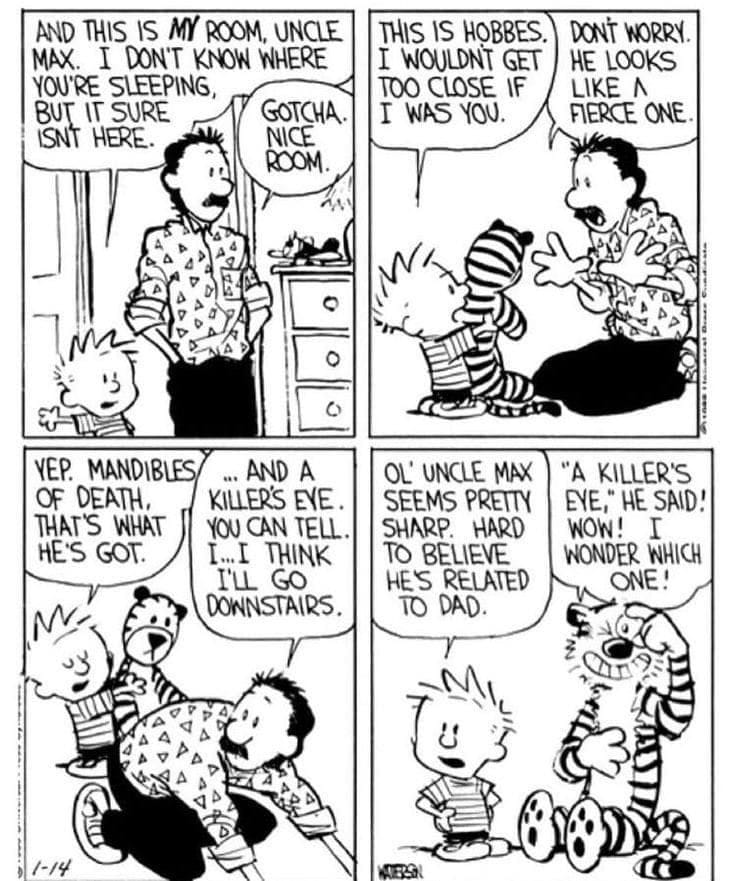14-31 20 Best New Comics Featuring Calvin and Hobbes at Their Funniest