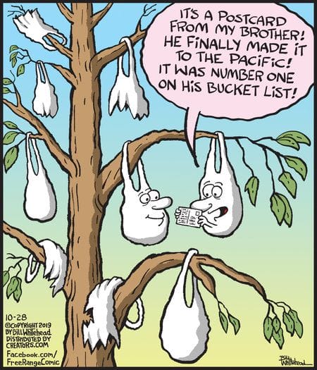 14-35 The 20 Funniest New Viral Comics Breaking the Internet with Laughter