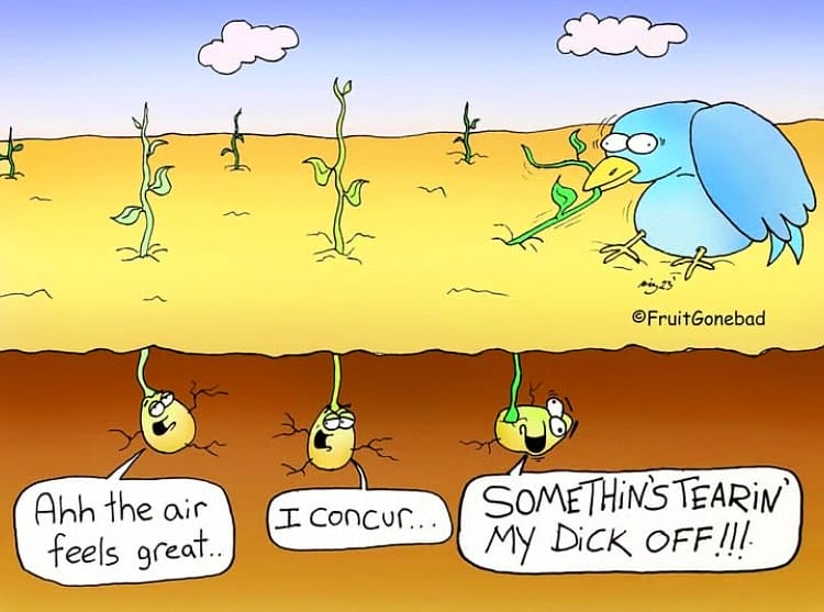 14-48 20 Latest Dark Humor Cartoons That Celebrate Limitless Humor