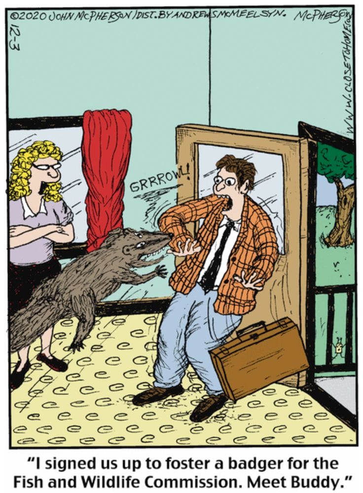 16-30 20 Uplifting and Funny Daily Comics You’ll Totally Relate To