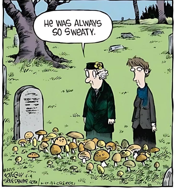 16-50 20 Best of Speed Bump Comics Packed with Dry Wit and Humor
