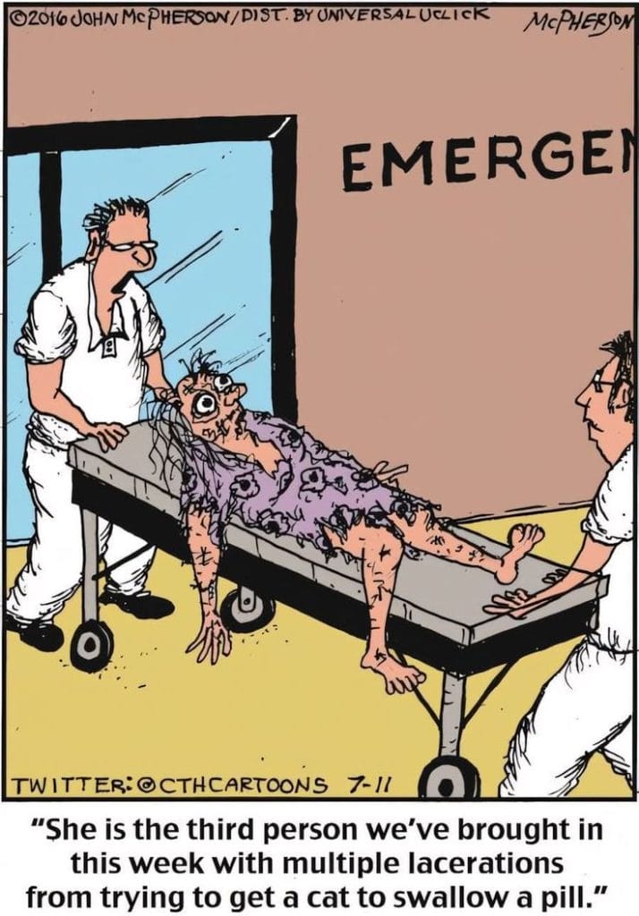 17-18-714x1024 20 Funny Trending Comics That Are the Highlight of the Day