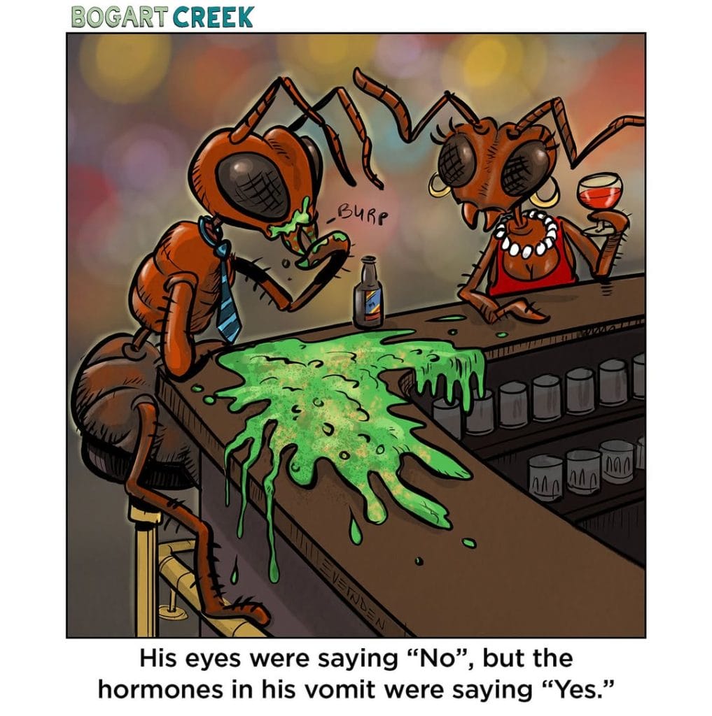 17-21-1017x1024 20 Best Dark Humor Comics by Bogart Creek That’ll Leave You Laughing and Unsettled