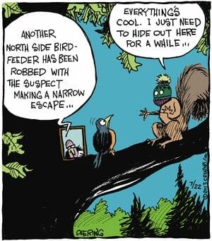 17-35 20 Funniest Viral Humor Comics You’ll See This Week