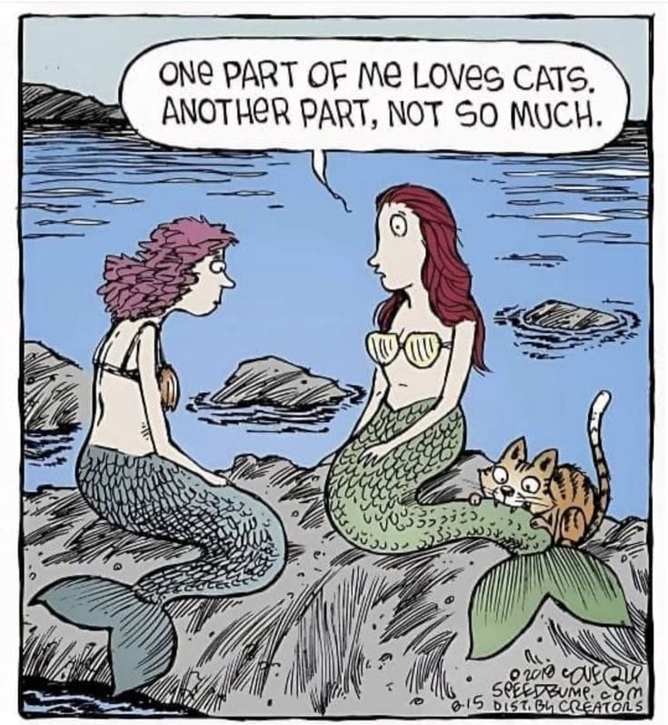 17-51 20 Best of Speed Bump Comics Packed with Dry Wit and Humor