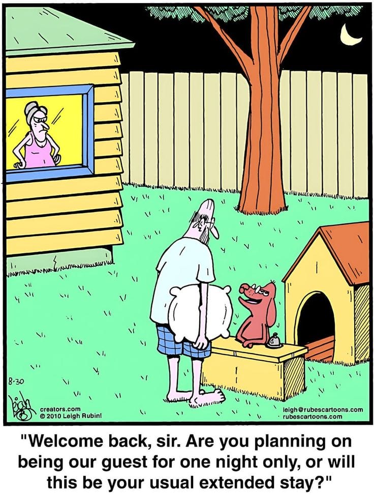 18-40 20 New Rubes Comics That Take Absurdity to the Next Level