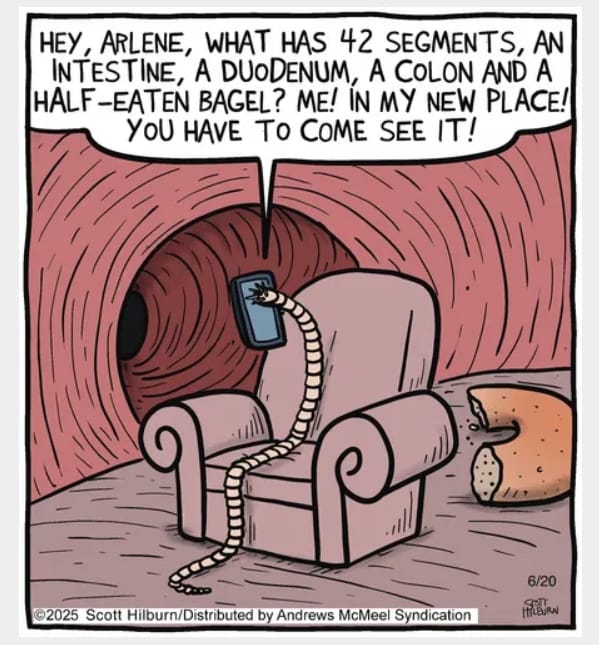 18-43 20 Dark Cartoons by Scott Hilburn That Prove Humor Has No Limits